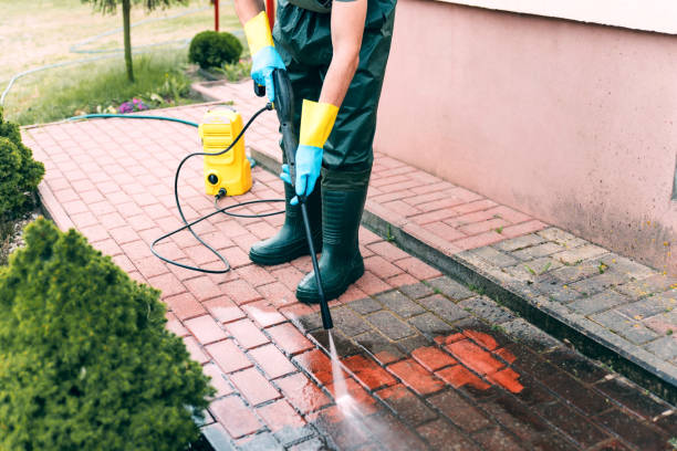 Best Roof Power Washing Services  in Ansted, WV